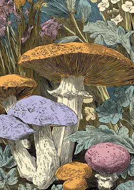 Decoupage Papier Toadstool