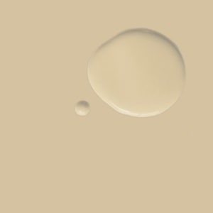 Wall Paint Old Ochre
