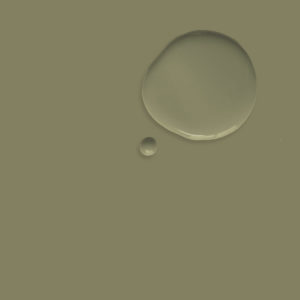 Wall Paint Olive