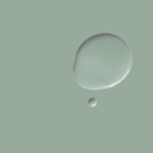 Wall Paint Pemberley Blue