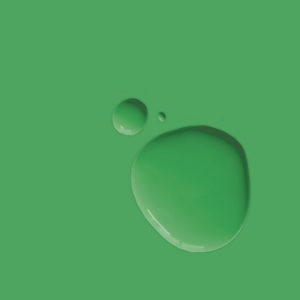 Wall Paint Schinkel Green