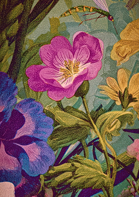 Decoupage Papier Floral Jungle