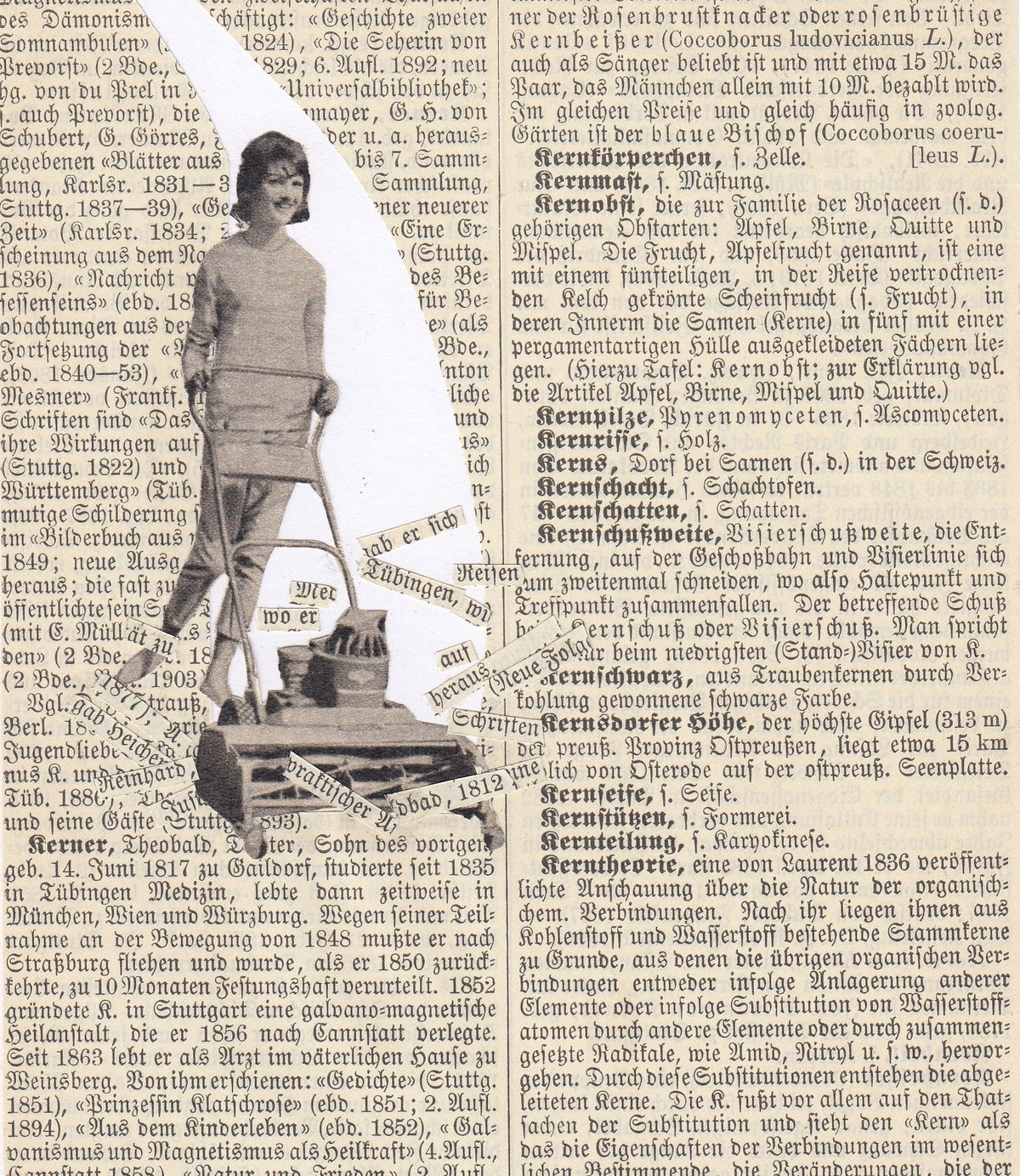 Postcard - The Mower