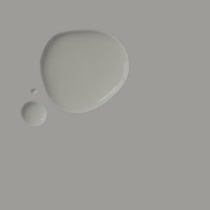 Wall Paint Paris Grey