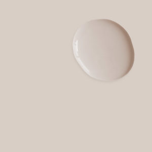 Wall Paint Pointe Silk